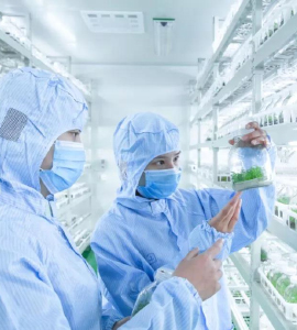 91香蕉视频APP下载官网技术