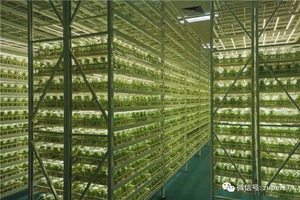 91香蕉视频APP下载官网仪器设备